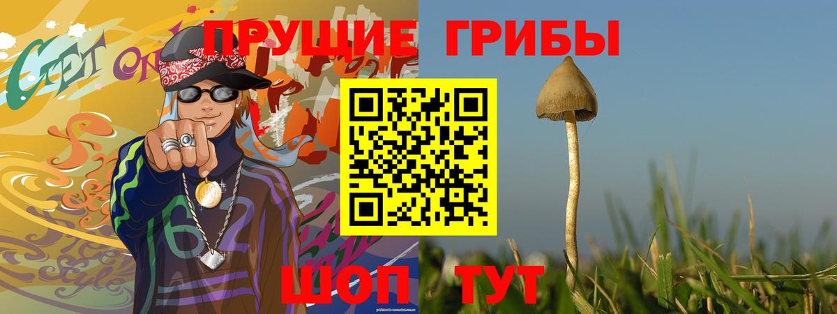 Псилоцибиновые грибы ЛСД  Вход с VPN  Узловая  Галлюциногенные грибы Psilocybe 